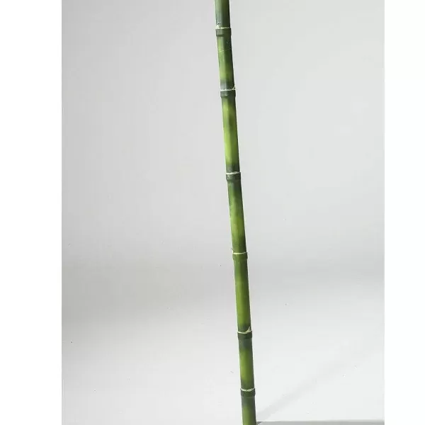 RETIF Baton De Bambou En Plastique 120Cm