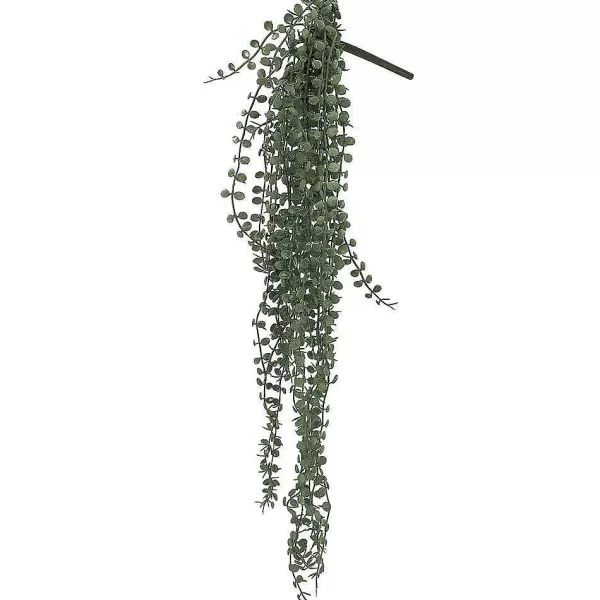 RETIF Chute De Ceropegia Woodi - H70Cm