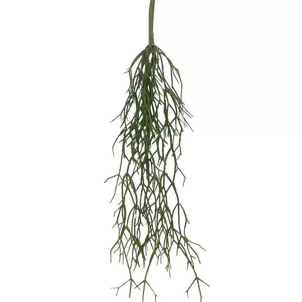 RETIF Chute De Rhipsalis - H60Cm