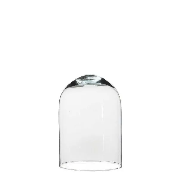 RETIF Cloche Verre Transparent H21,5Cm