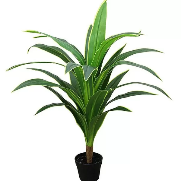 RETIF Dracena Dans Pot H110Cm