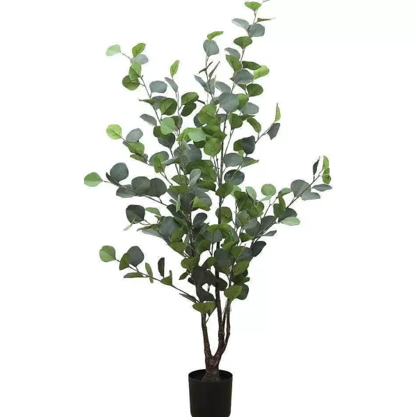 RETIF Eucalyptus Dans Pot H95Cm