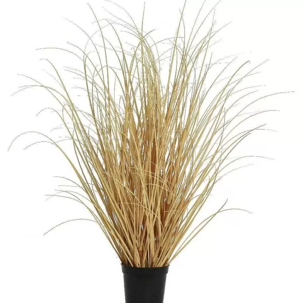 RETIF Herbe Seche En Pot H59 Cm