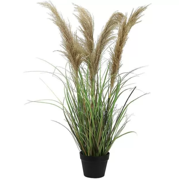 RETIF Herbes De La Pampa H 110 Cm