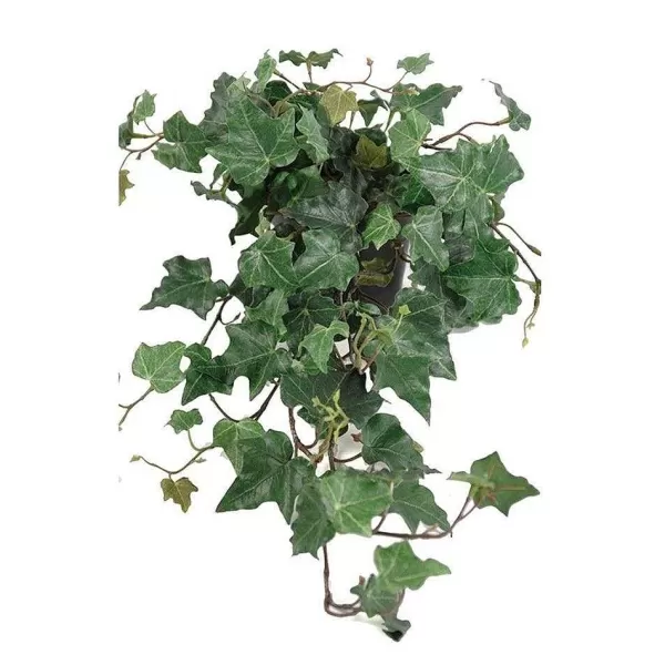 RETIF Lierre Arborescent Artificiel En Pot H55Cm 35Cm