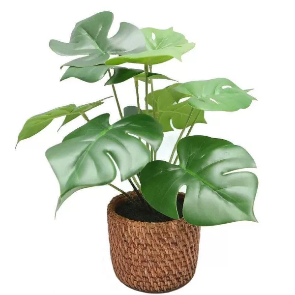 RETIF Monstera En Pot Effet Cannage H32Cm