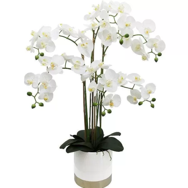 RETIF Orchid E Toucher Naturel H 80 Cm