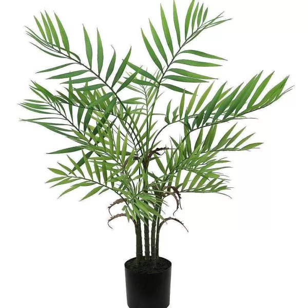 RETIF Palmier Areca Dans Pot Plastique H76Cm