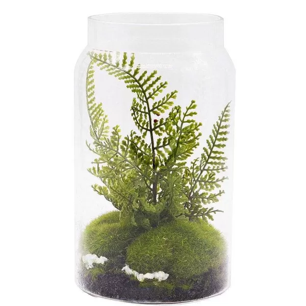 RETIF Terrarium De Foug Res H19Cm