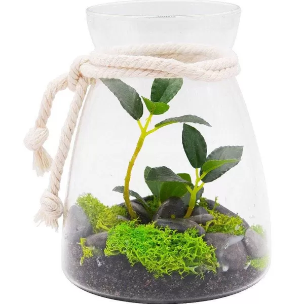 RETIF Terrarium Plantes Vertes, Mousse Et Galets H16Cm