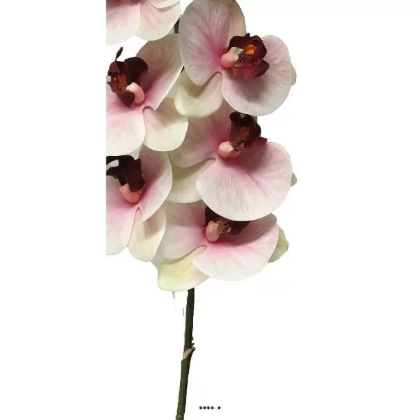 RETIF Tige Orchid E Phalaenopsis Factice 9Fleurons H108Cm Pourpre-Blanc-Best